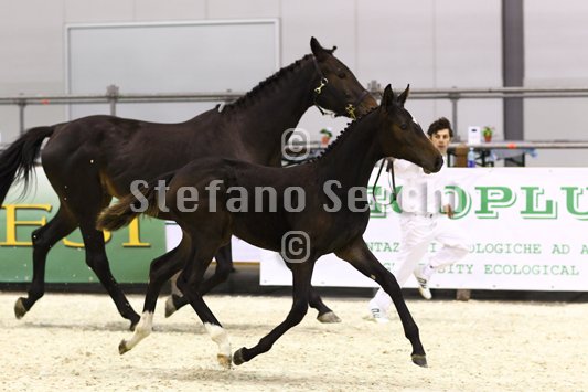 PRINCESS LIESA_MILANO_2010_SS3_7460.jpg